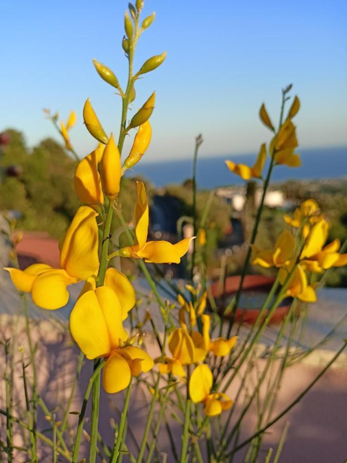 La Petite Maison آتْشّي كاستيلّو المظهر الخارجي الصورة